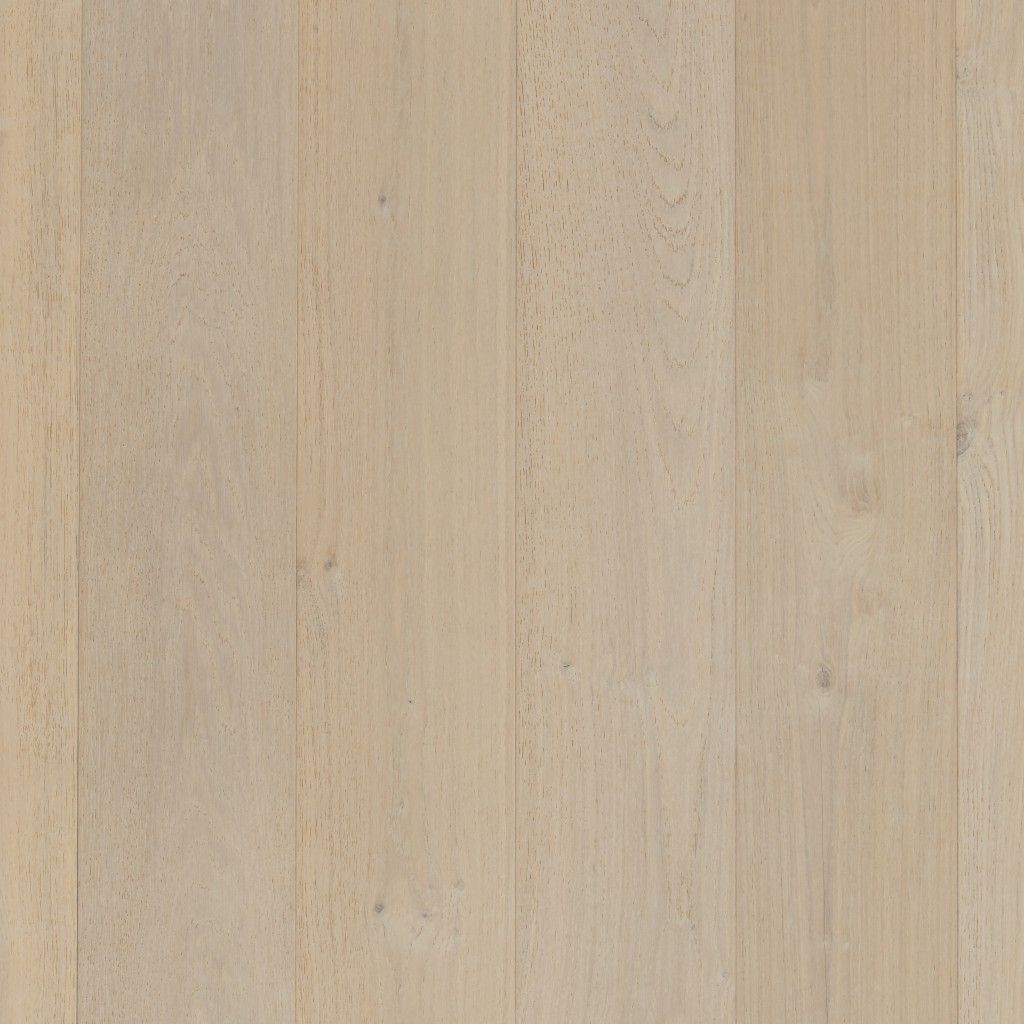 Zion - Ivoire Brushed & Matt Lacquered